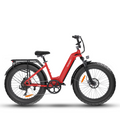 Vélo électrique Bodywel D9 Step-Thru eMTB