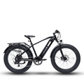 Bodywel D6 Fat Tire Mountain Ebike