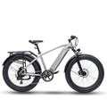 Bodywel Official D6 Fat Tire Mountain Refurbished Ebike