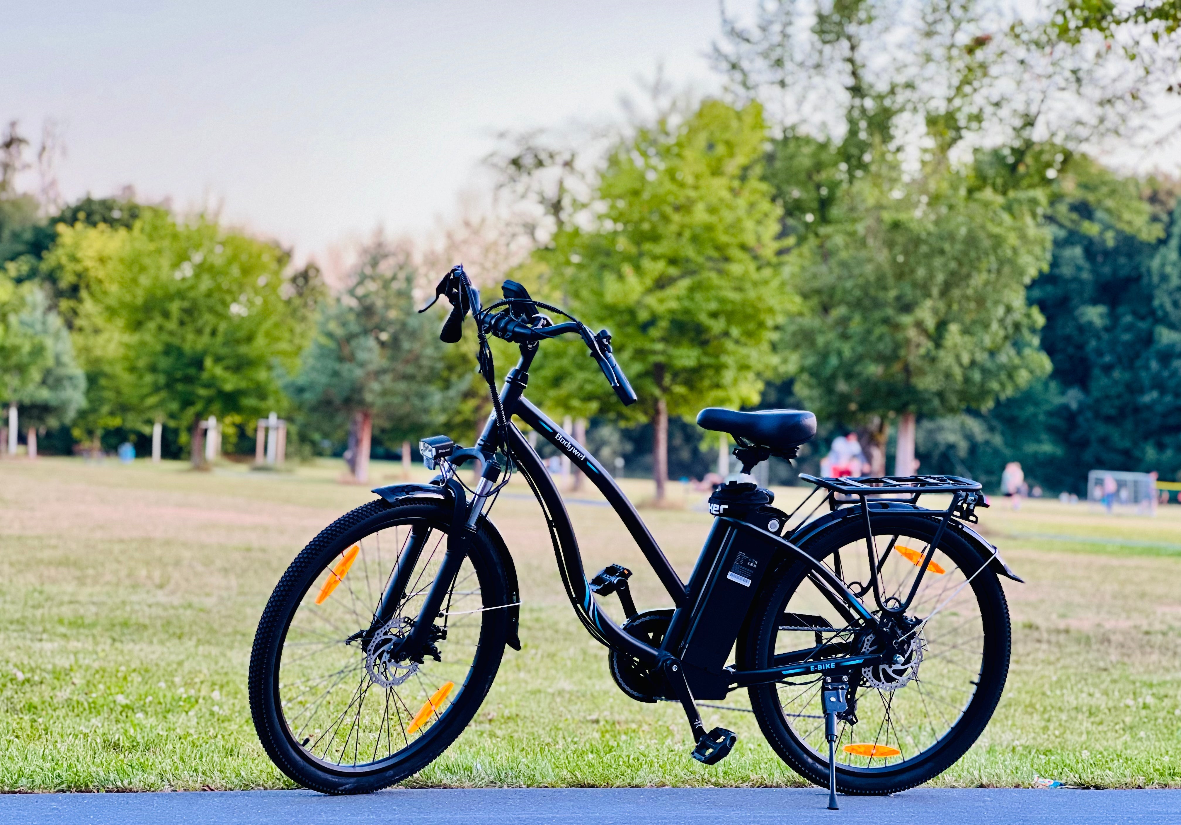 ebike-type