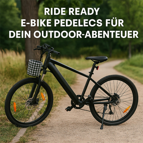 e-bike-pedelec