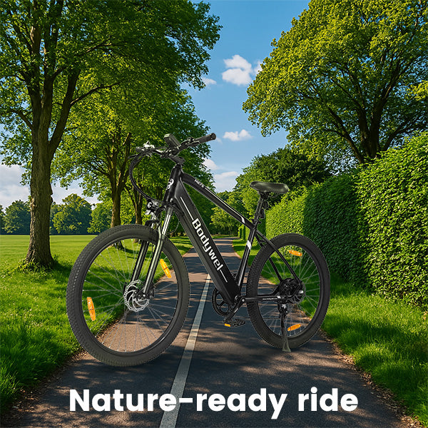 ebike-wandhalterung