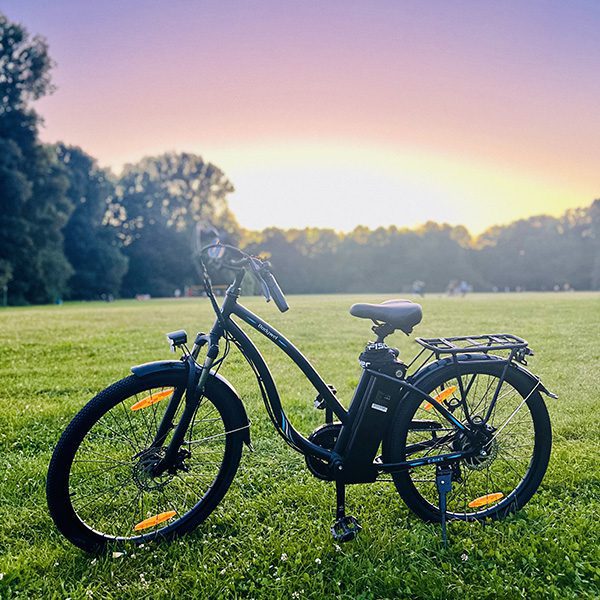 How Does an Ebike Work: Electric Bike Basics - BodyweI EU