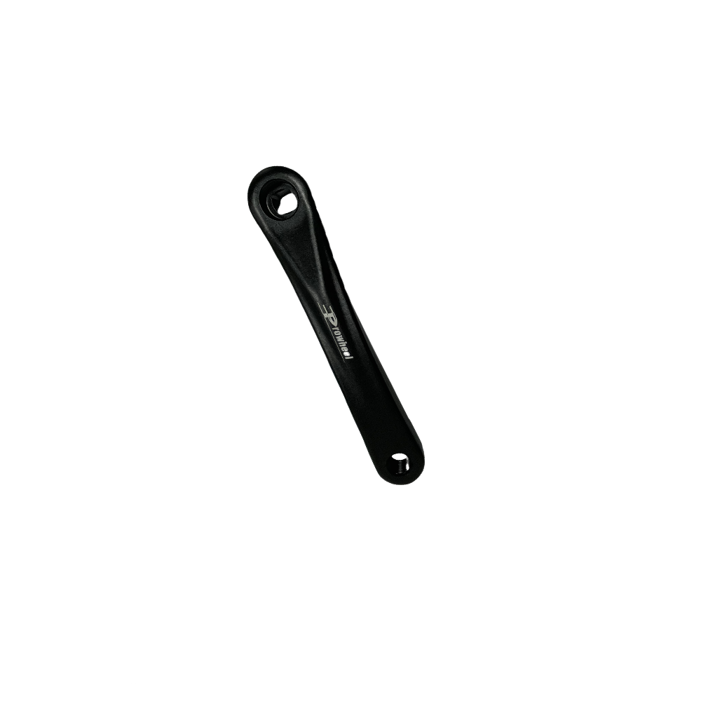 Bodywel ebike pignon de pignon