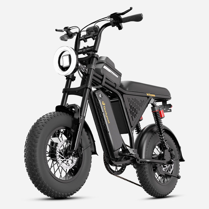 Bodywel M16 Pro Vintage Motorcycle EBike