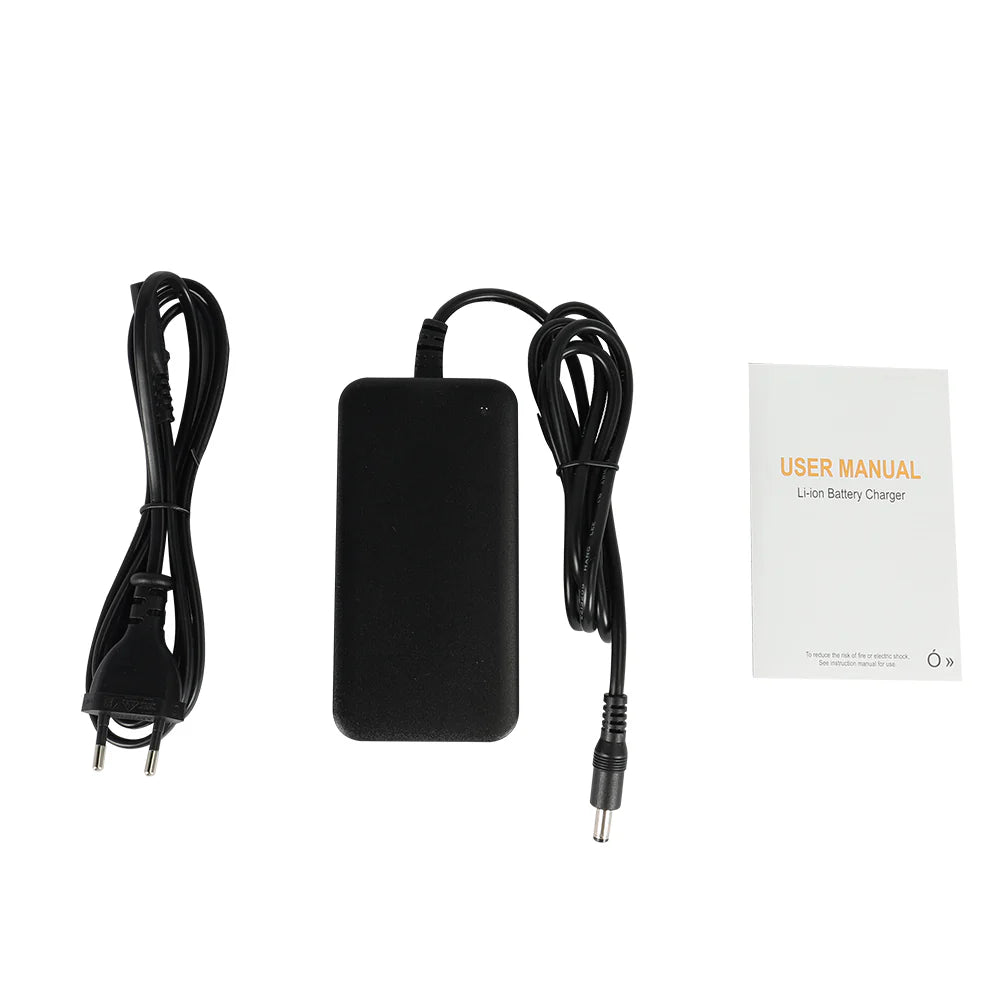Caricatore della batteria della bici elettrica Bodywel