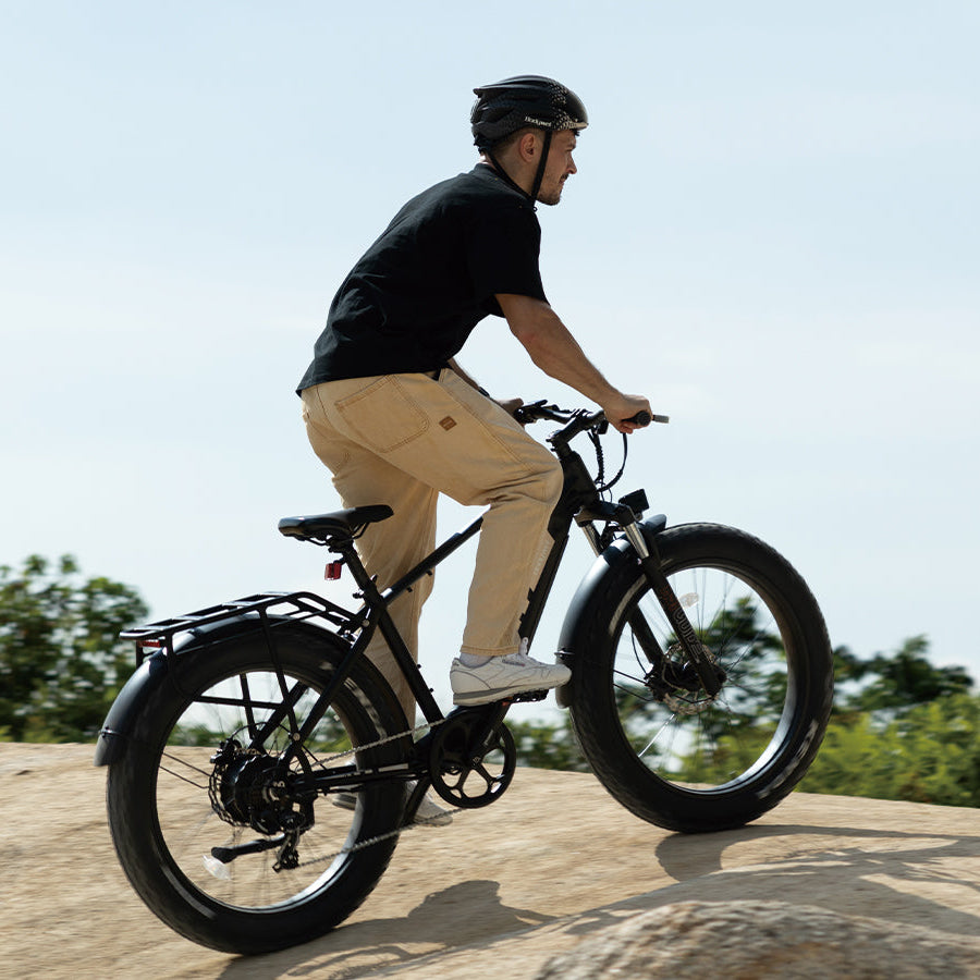 Bodywel D6 Fat Tire Mountain Ebike