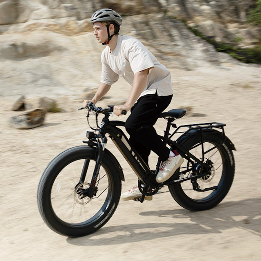 Bodywel D6 Fat Tire Mountain Ebike
