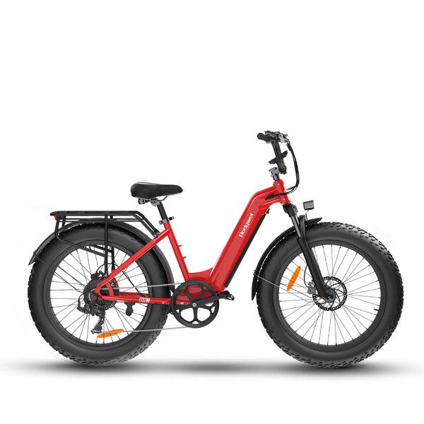 Bodywel D9 Step Thru eMTB E Bike