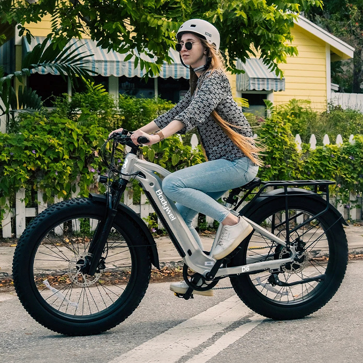 Bodywel D6 Fat Tire Mountain Ebike