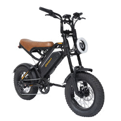 Bodywel M16 Fat Tire E-Bike