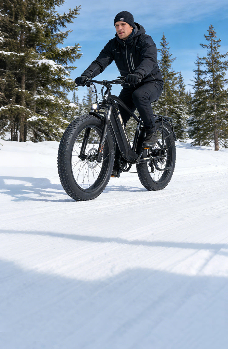D6 Mountain E-bike