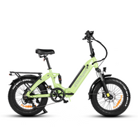Bodywel F20 Pro Fat Tyre E-Bike