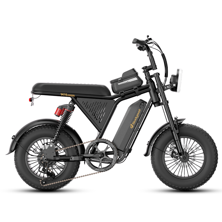Offizielles renoviertes Ebike