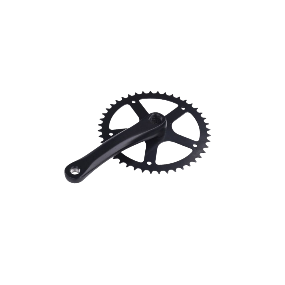 Bodywel ebike pignon de pignon