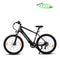 Bodywel M275 Mountain E-Bike spring sale