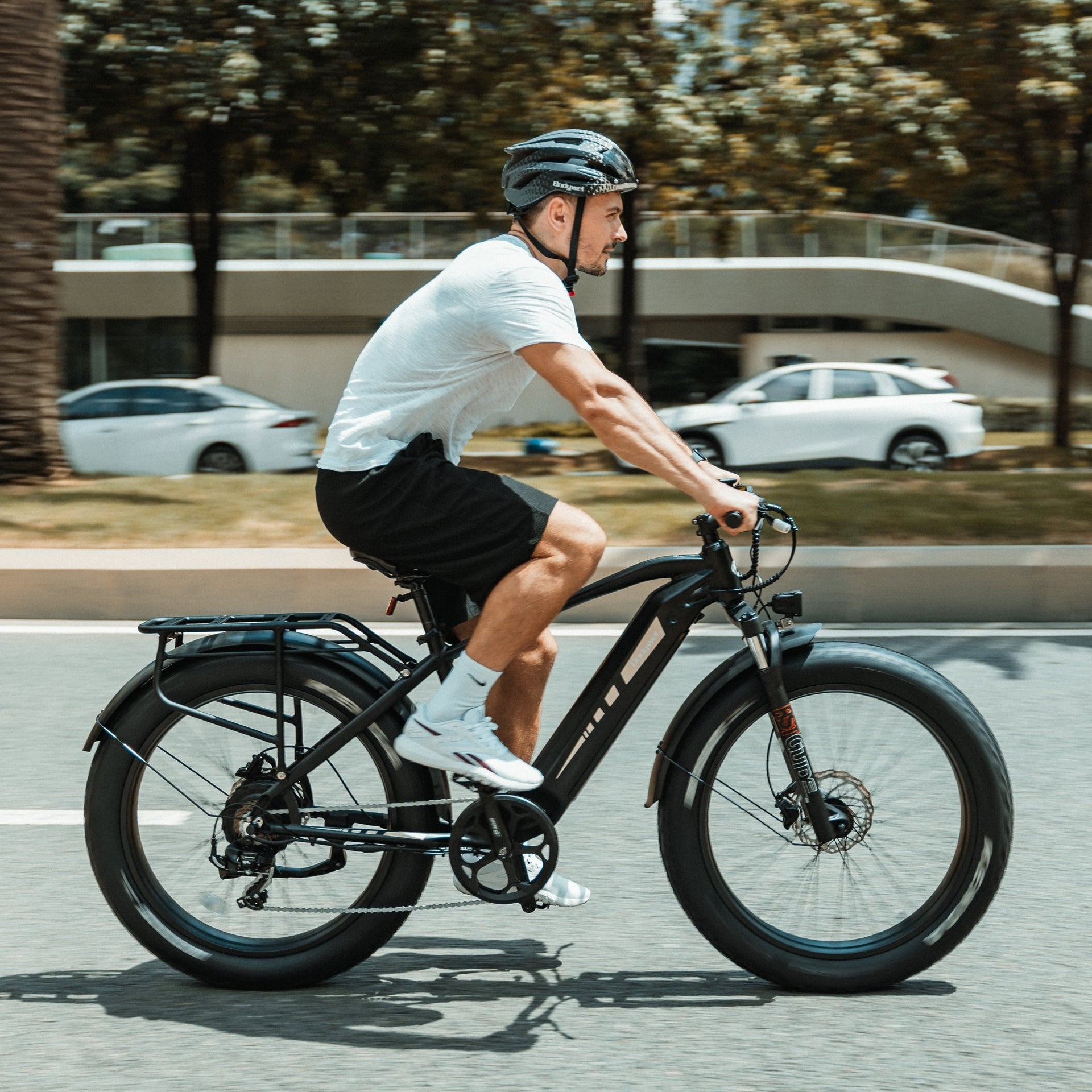 Bodywel D6 Fat Tire Touring Ebike