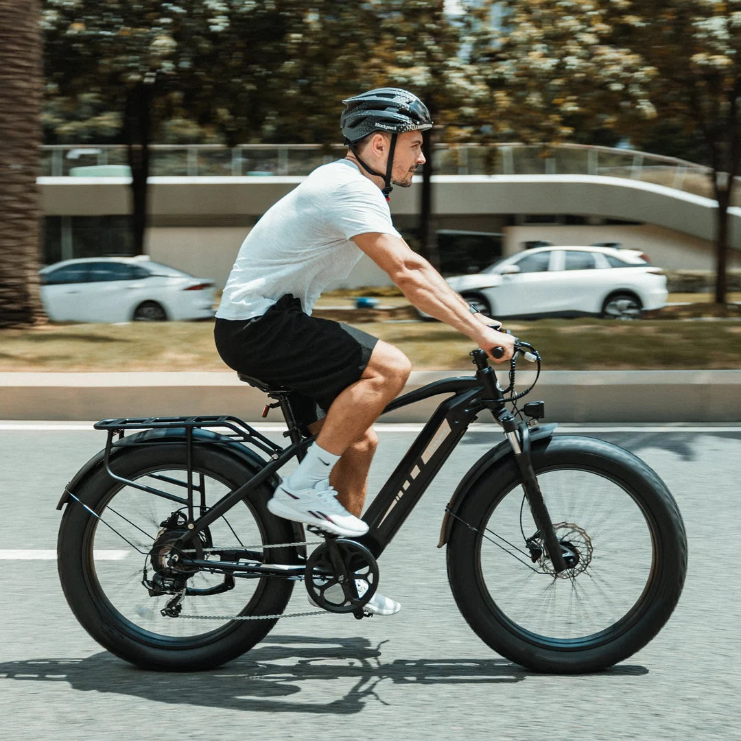 Bodywel D6 Fat Tire Mountain Ebike