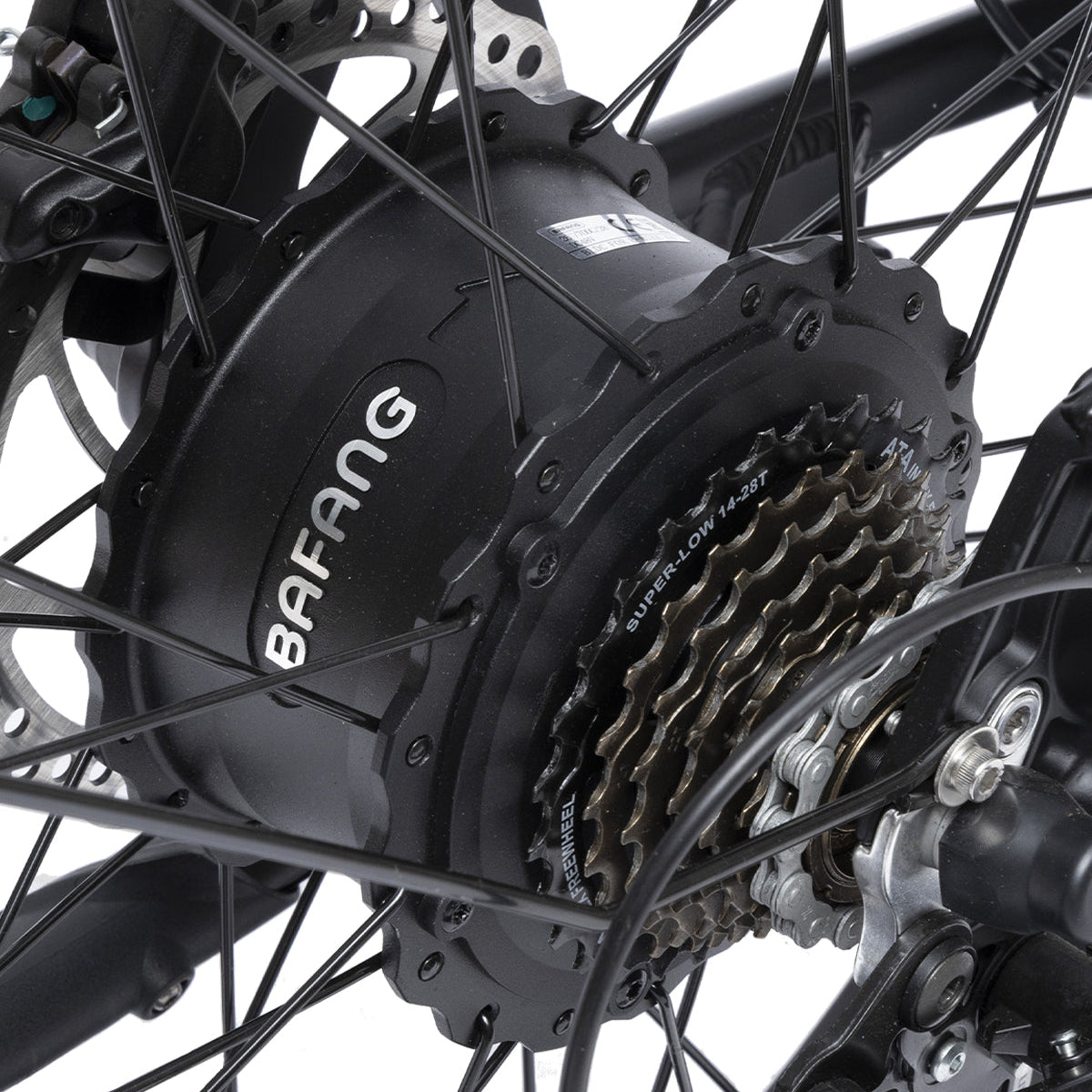 Bodywel D6 Fat Tire Mountain Ebike