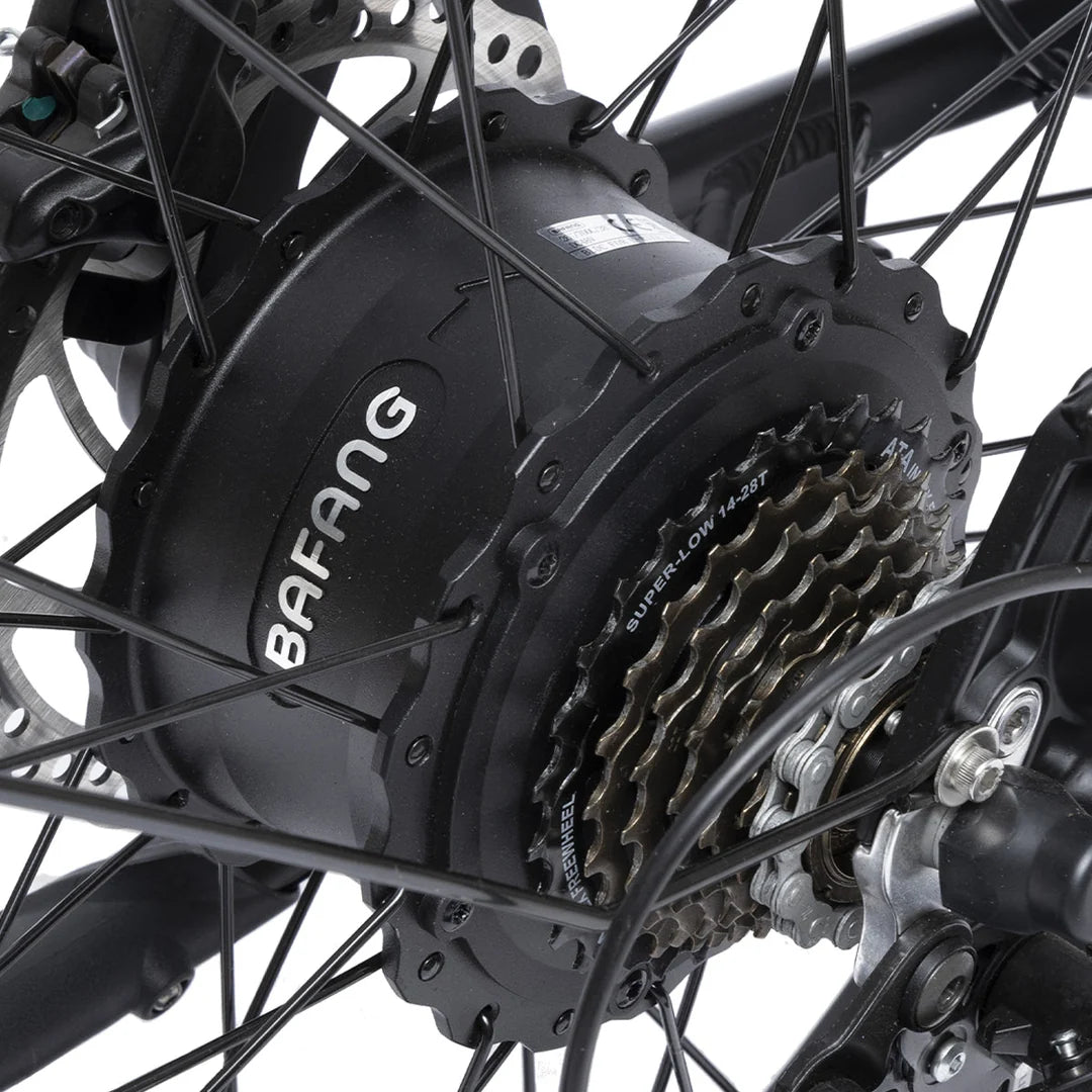 Bodywel D6 Fat Tire Mountain Ebike
