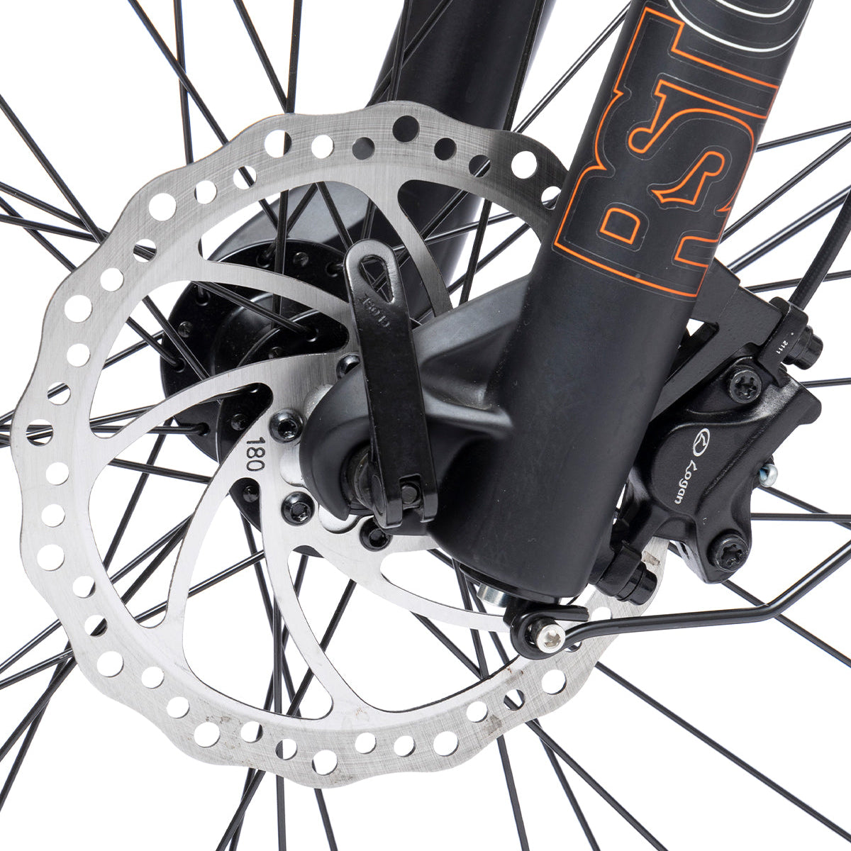 Bodywel D6 Fat Tire Mountain Ebike