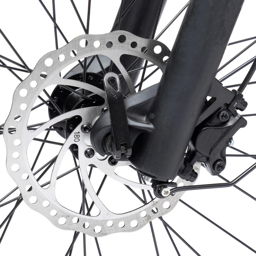 Bodywel D6 Fat Tire Mountain Ebike