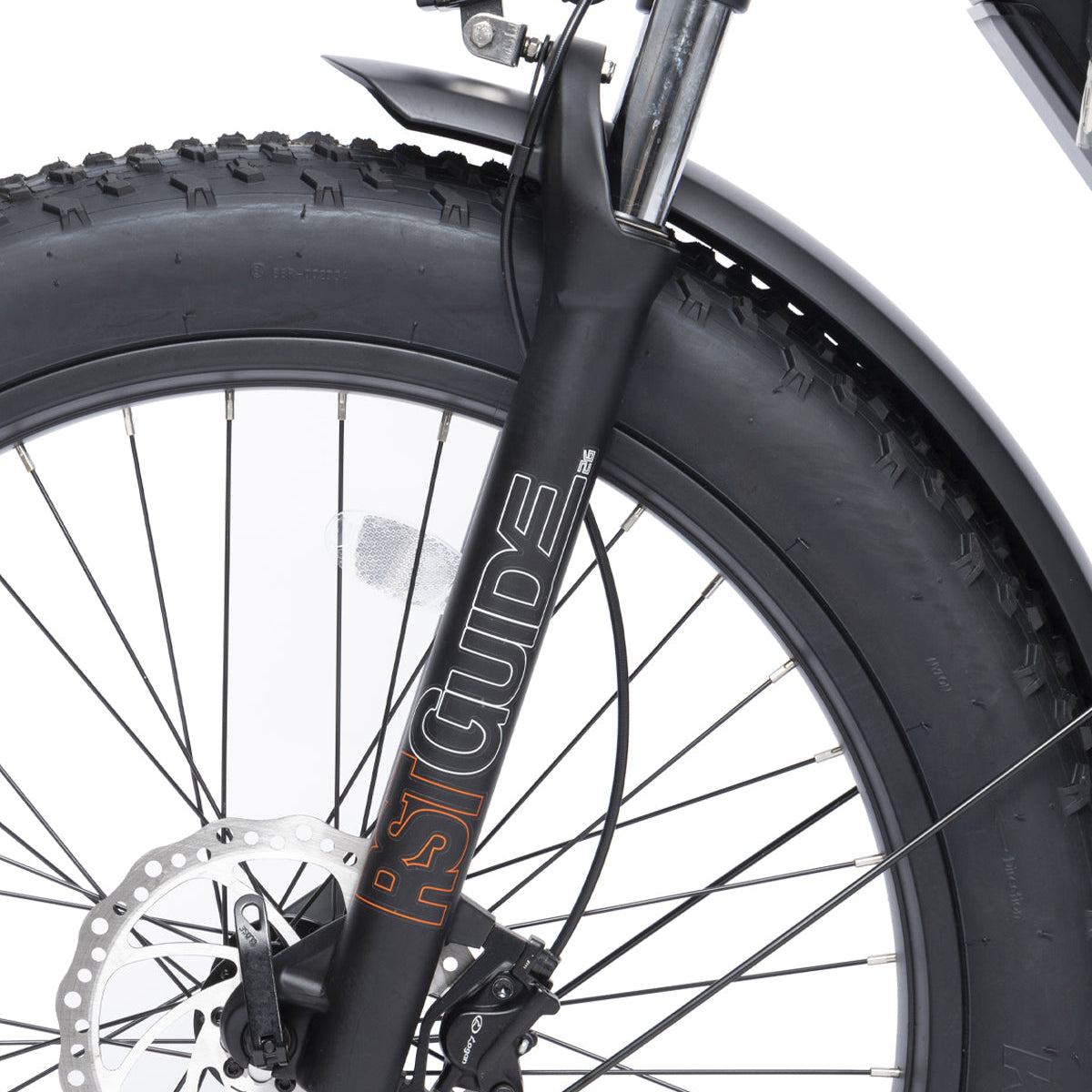 Bodywel D6 Fat Tire Mountain Ebike