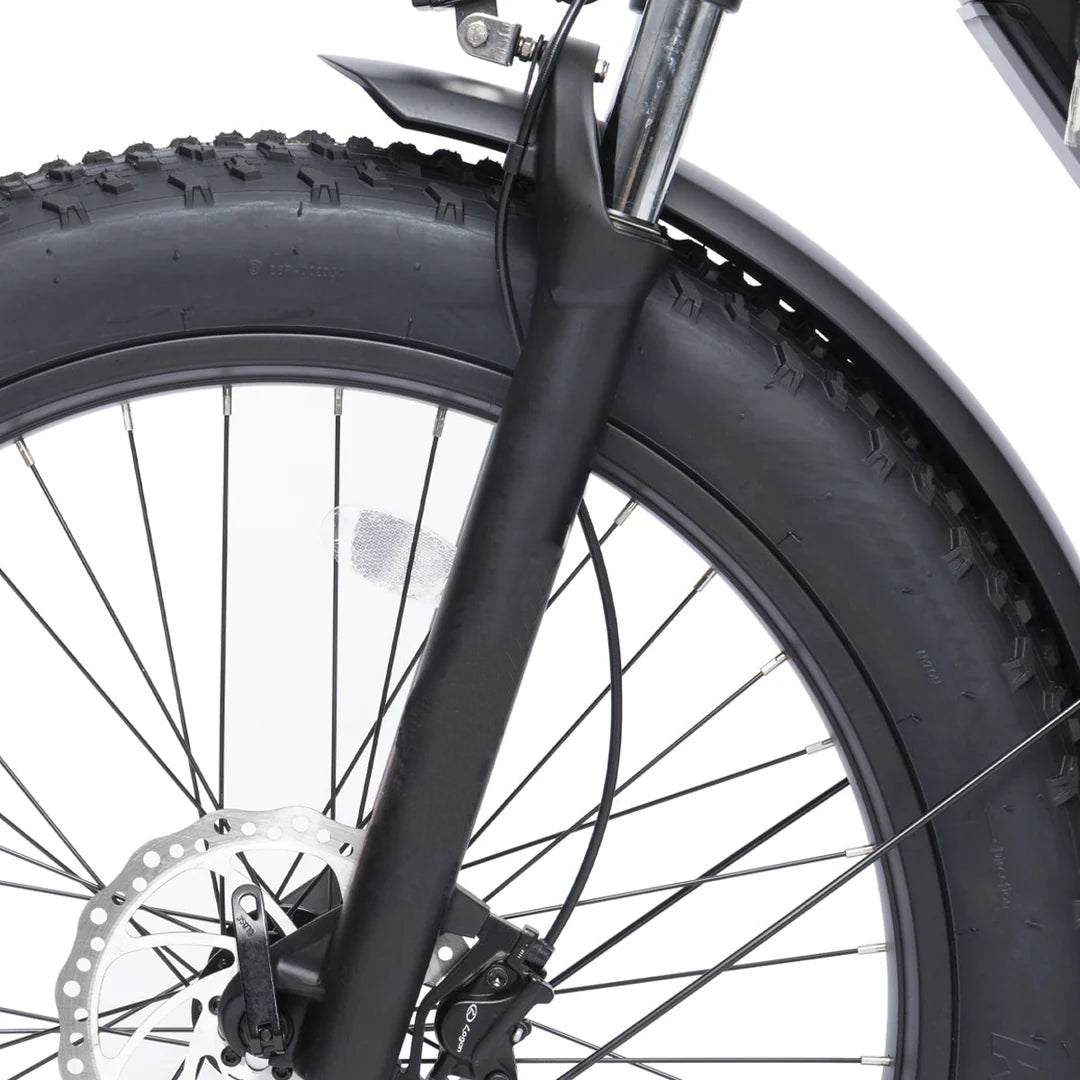 Bodywel D6 Fat Tire Mountain Ebike