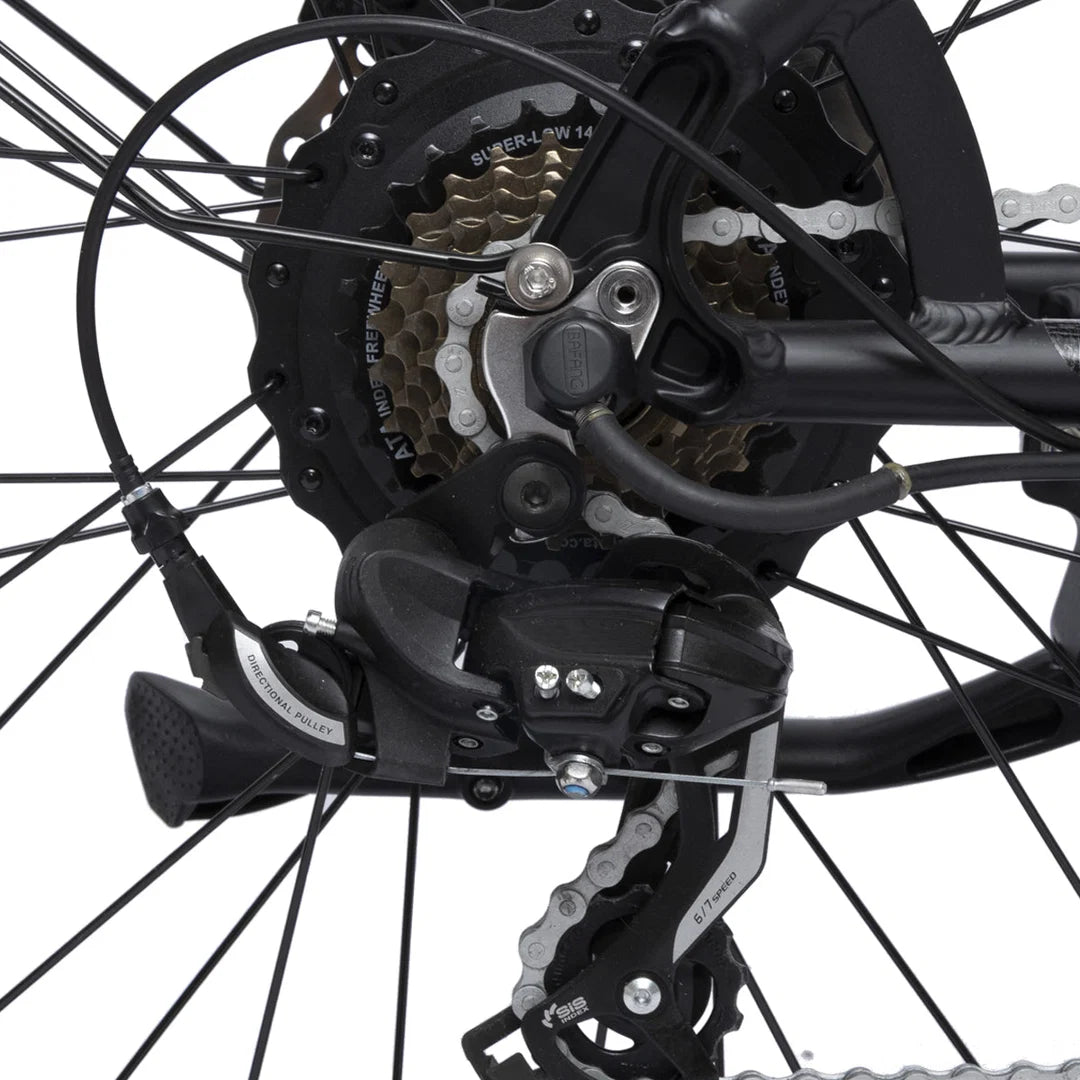 Bodywel D6 Fat Tire Mountain Ebike