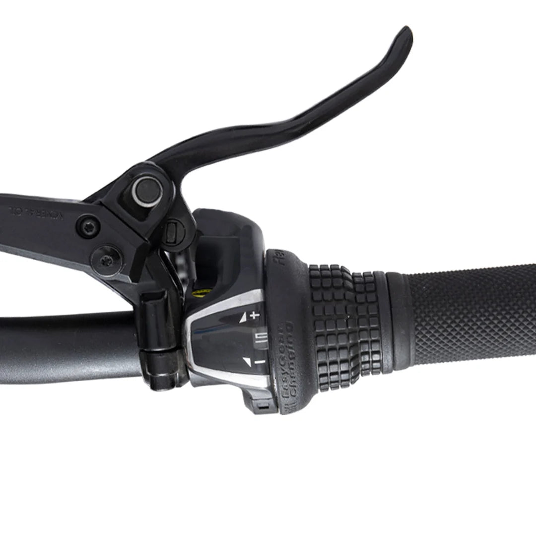 Bodywel D6 Fat Tire Mountain Ebike