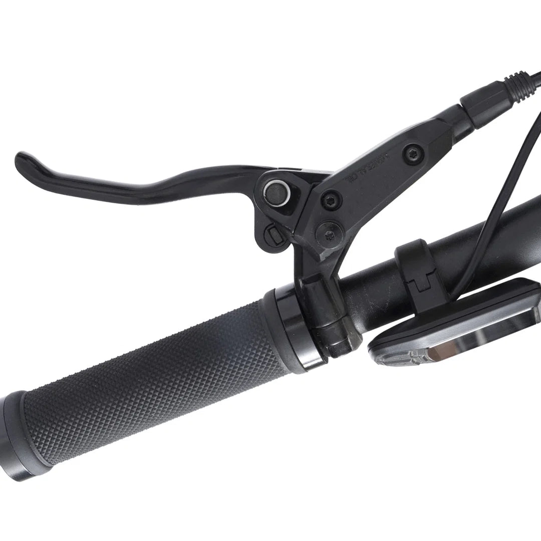 Bodywel D6 Fat Tire Mountain Ebike