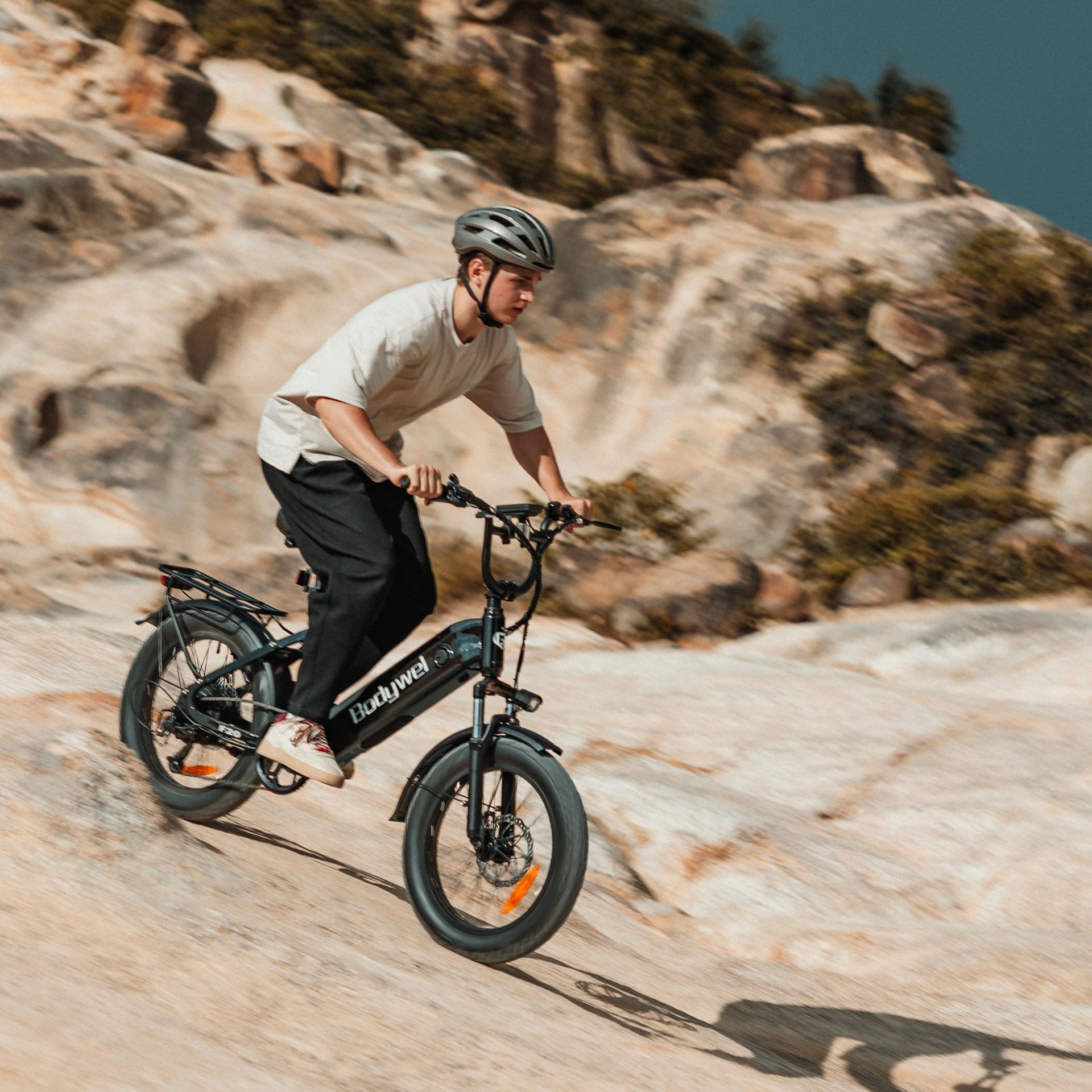 Bodywel F20 City- & Touren-E-Bike