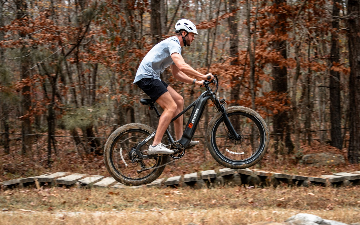 Freedare Saiga Ebike