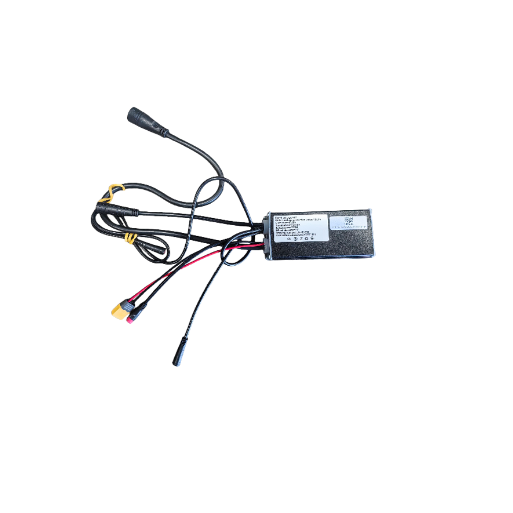 Bodywel Electric Bike Controller