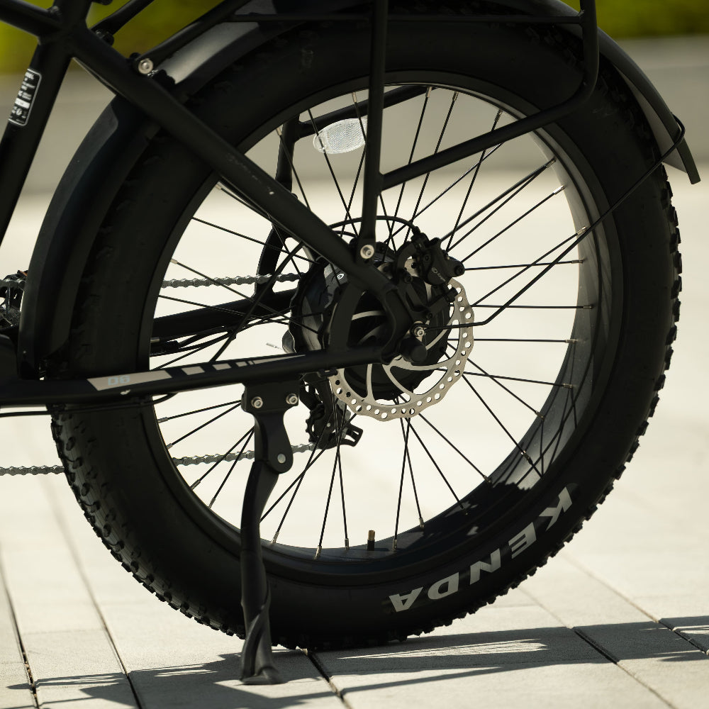 Bodywel D6 Fat Tire Mountain Ebike