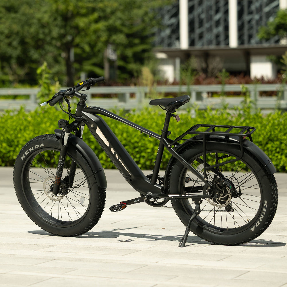 Bodywel D6 Fat Tire Mountain Ebike