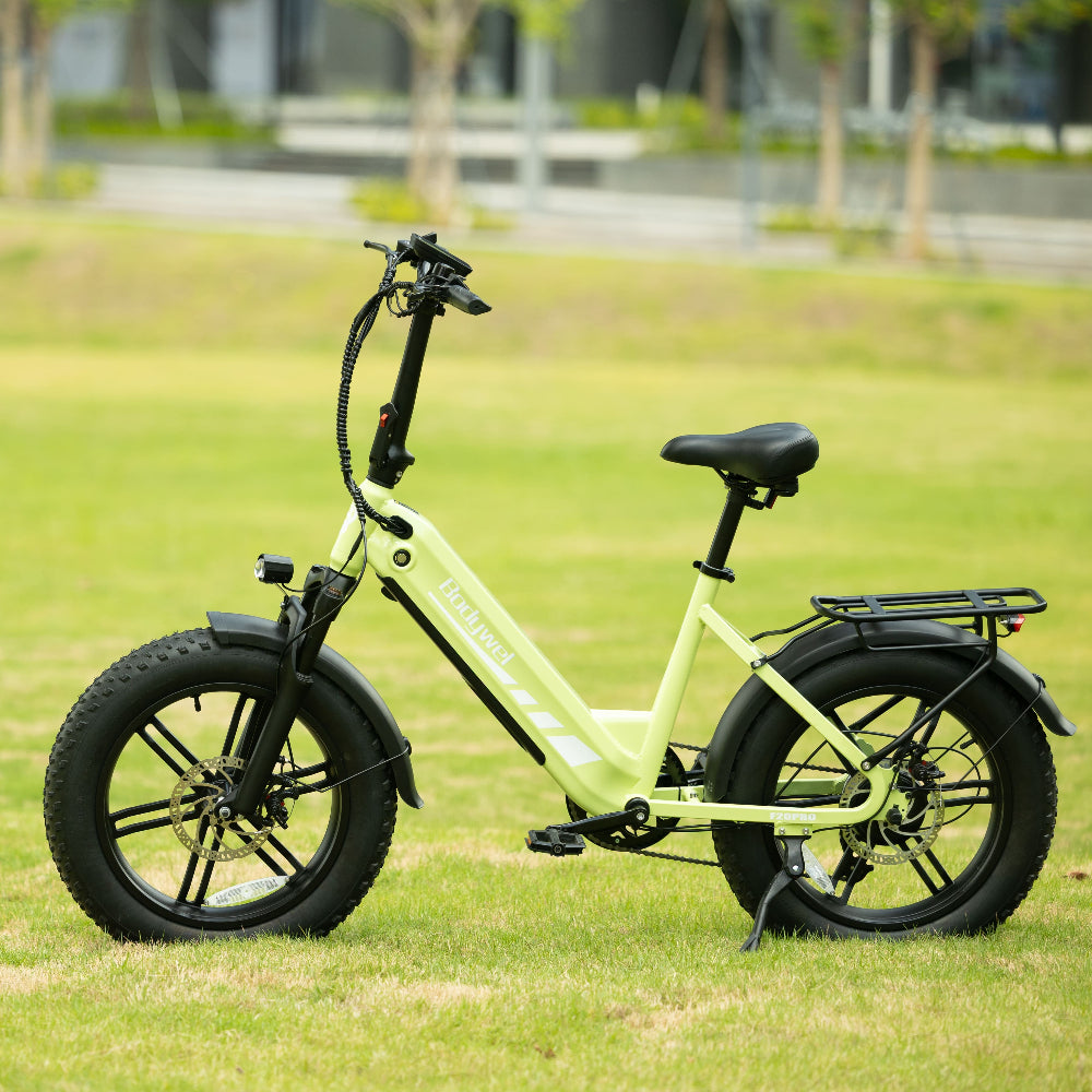 Bodywel F20 Pro  Fat Tire Touring Ebike