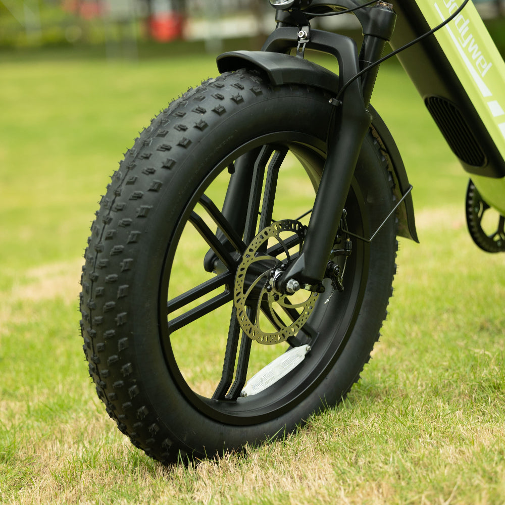 Bodywel F20 Pro  Fat Tire Touring Ebike