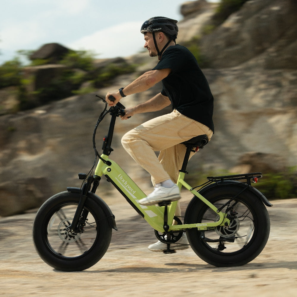 Bodywel F20 Pro  Fat Tire Touring Ebike
