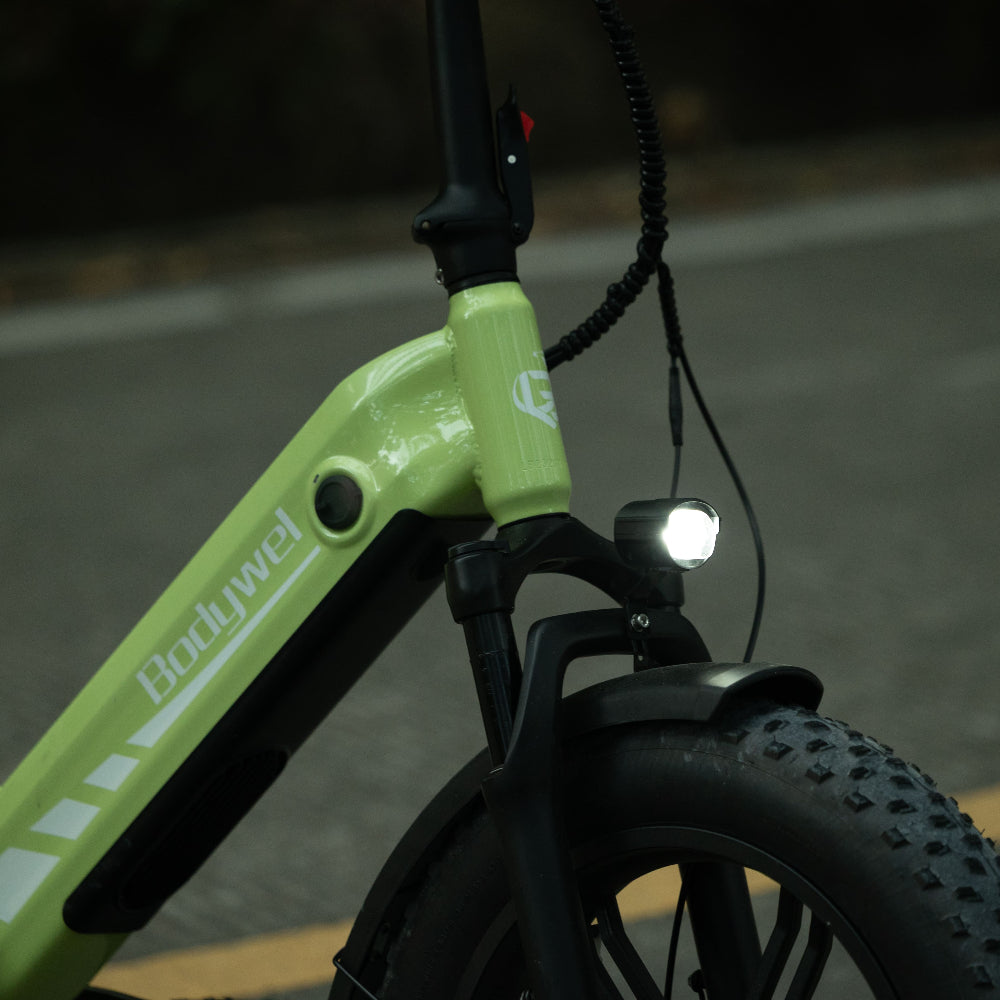 Bodywel F20 Pro  Fat Tire Touring Ebike