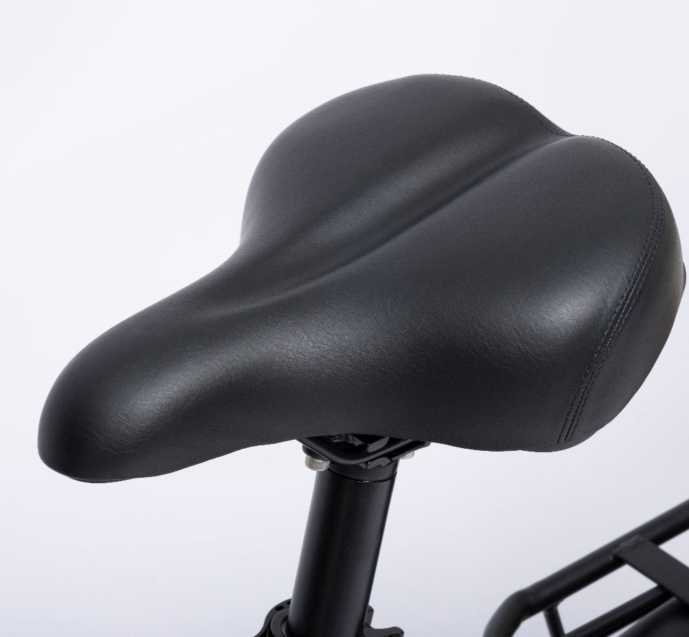 Bodywel F20 City & Touring Ebike