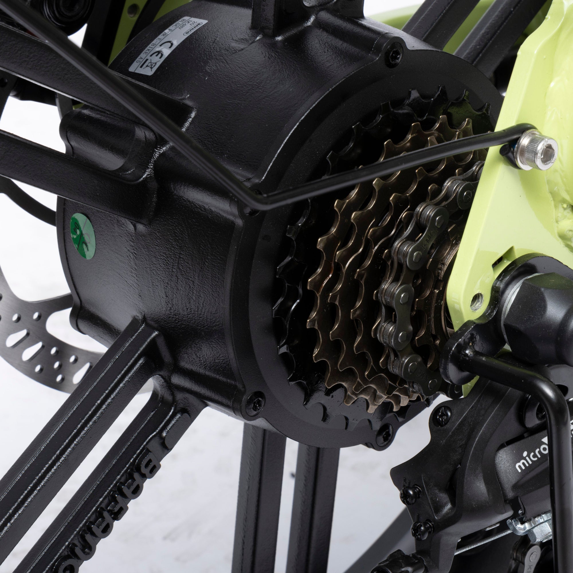 Bodywel F20 Pro  Fat Tire Touring Ebike