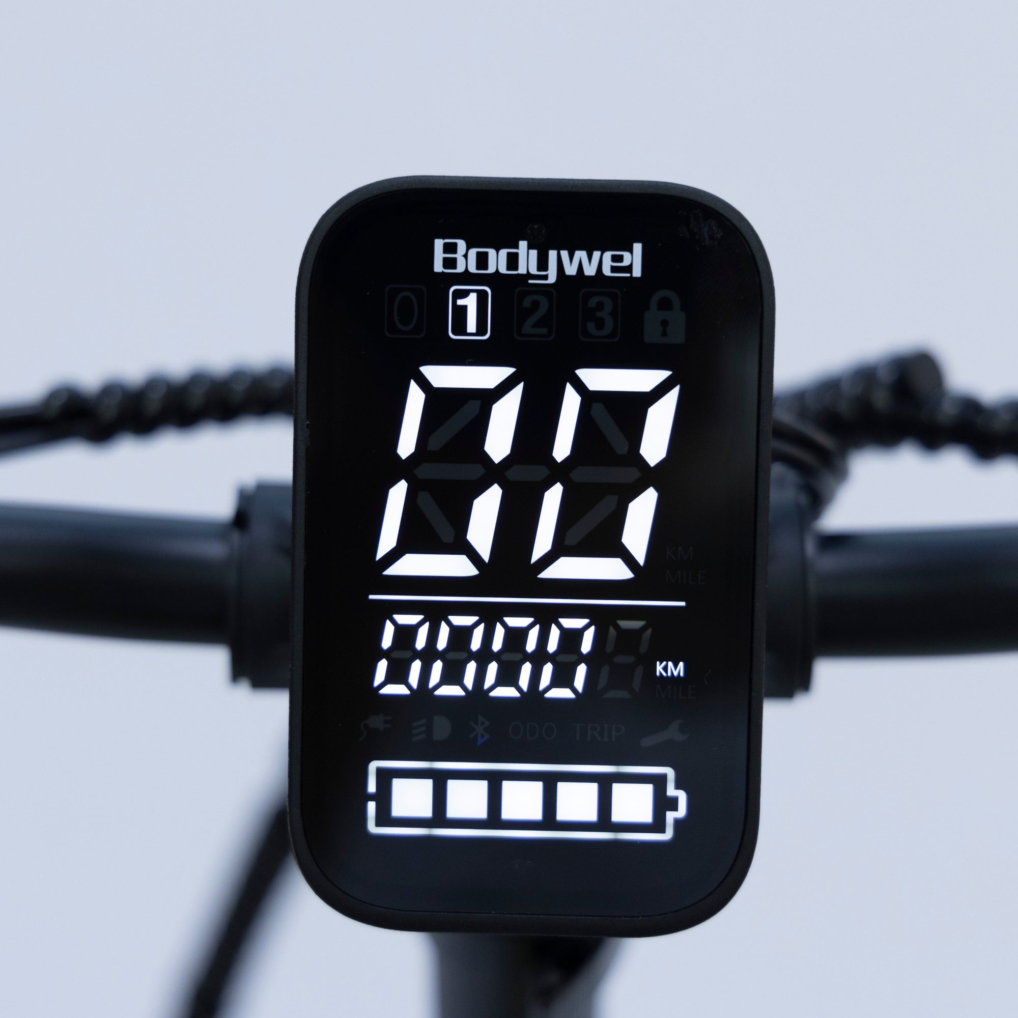 Bodywel F20 Pro  Fat Tire Touring Ebike