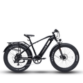 Bodywel D6 Fat Tire Mountain Ebike €1.299,00