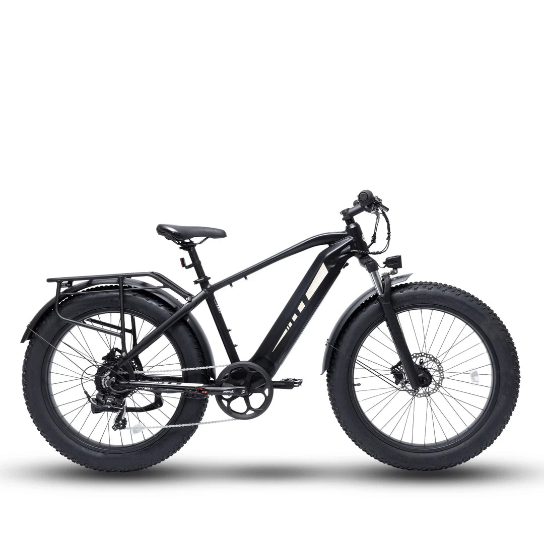 Bodywel D6 Fat Tire Mountain Ebike