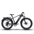 Bodywel D6 Fat Tire Mountain Ebike