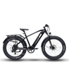Bodywel D6 Fat Tire Touring Ebike - Long Range - BodyweI EU