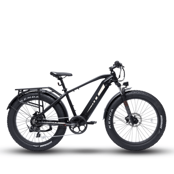 Bodywel D6 Fat Tire Mountain Ebike