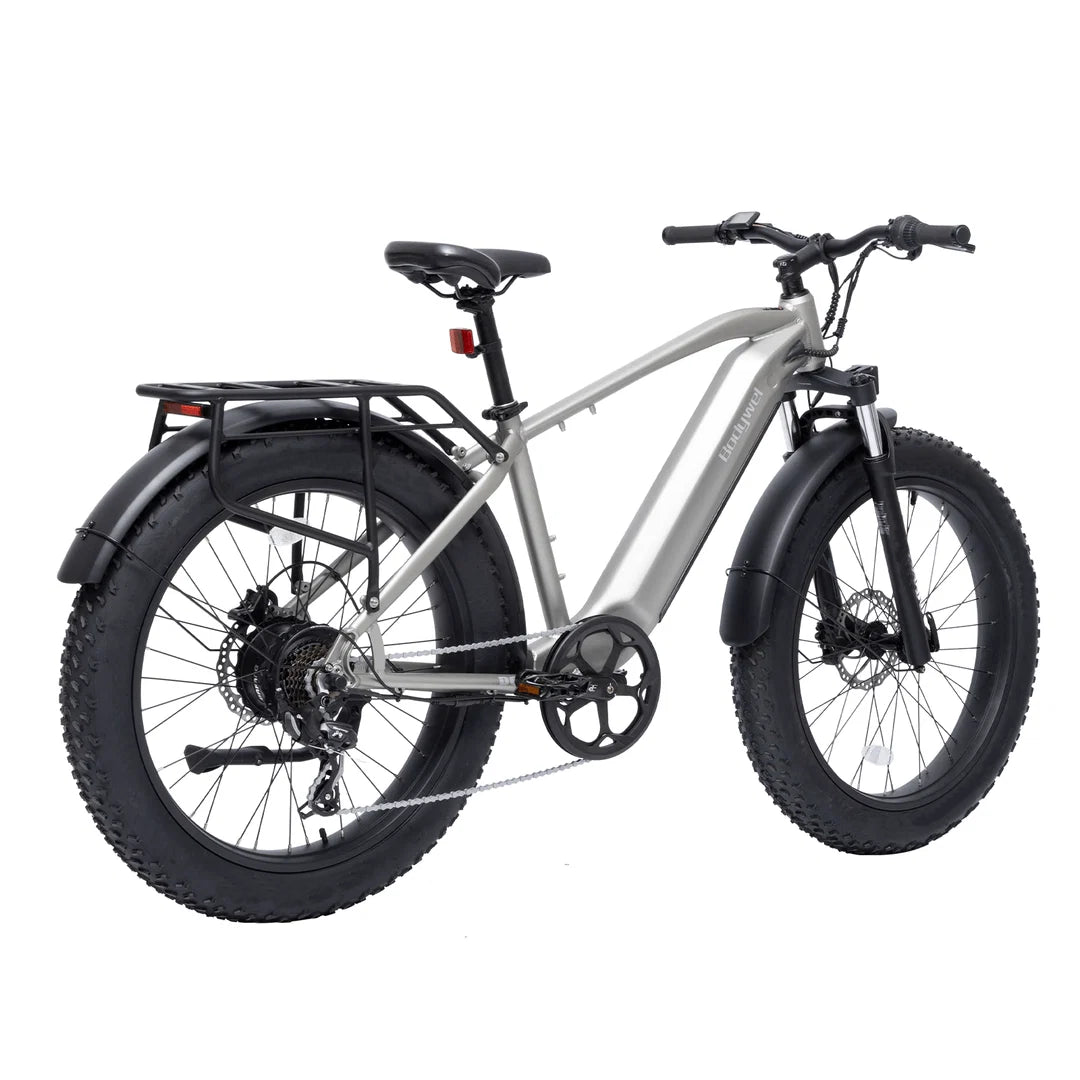 Bodywel D6 Fat Tire Mountain Ebike