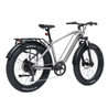 Bodywel D6 Fat Tire Touring Ebike - Long Range - BodyweI EU